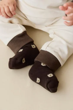 Bobbie Bear Sock - Jacquard Brownie