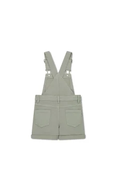 Chase Twill Overall - Sage