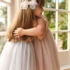 Fairy Bow - Moon
