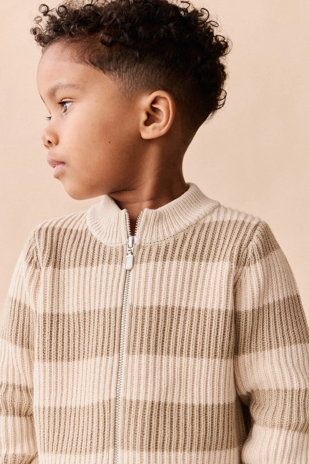 Idris Knit Zip Cardigan - Wide Stripe Rye/Buff
