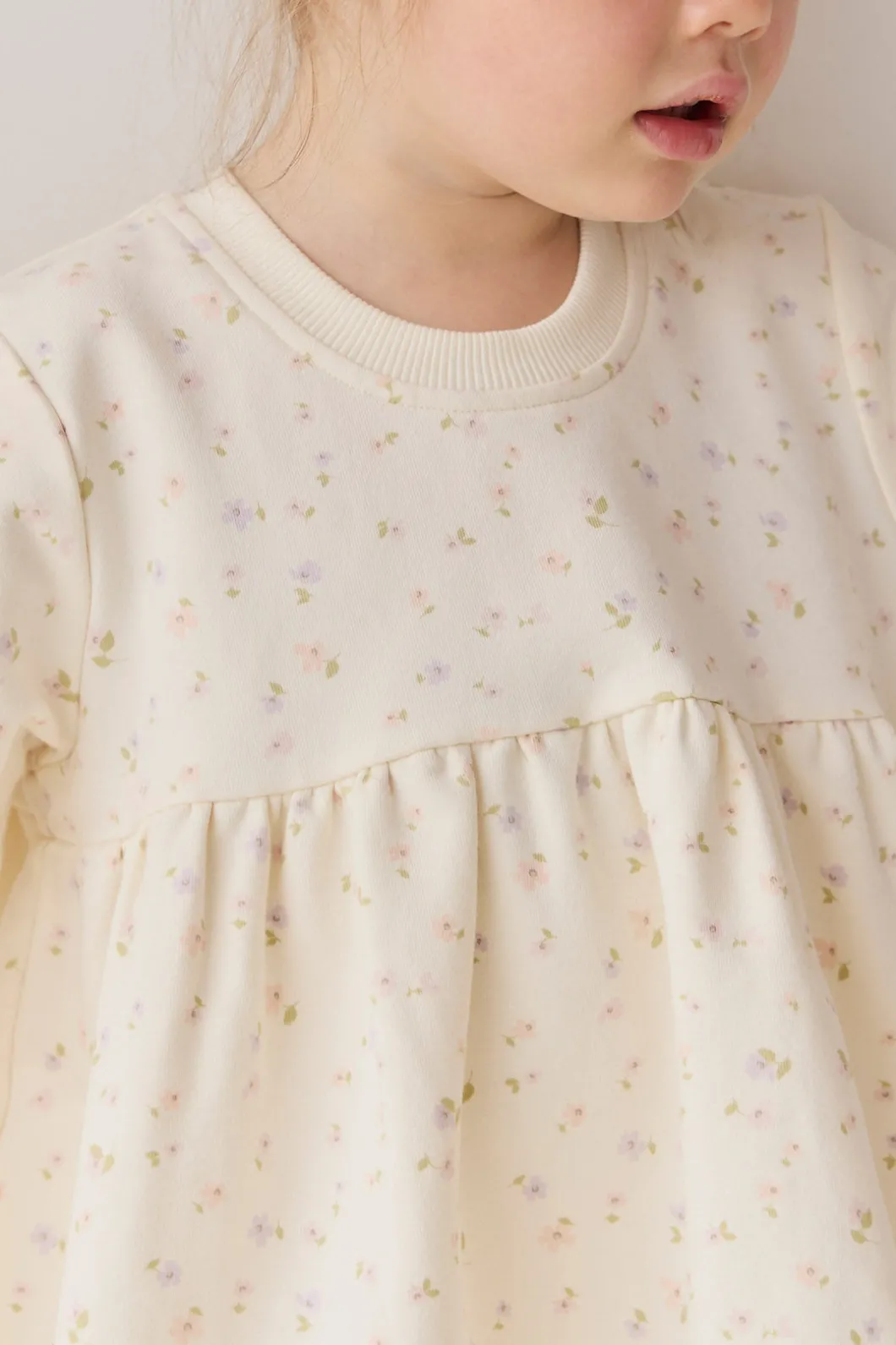 Organic Cotton Charlotte Dress - Briella Whisper
