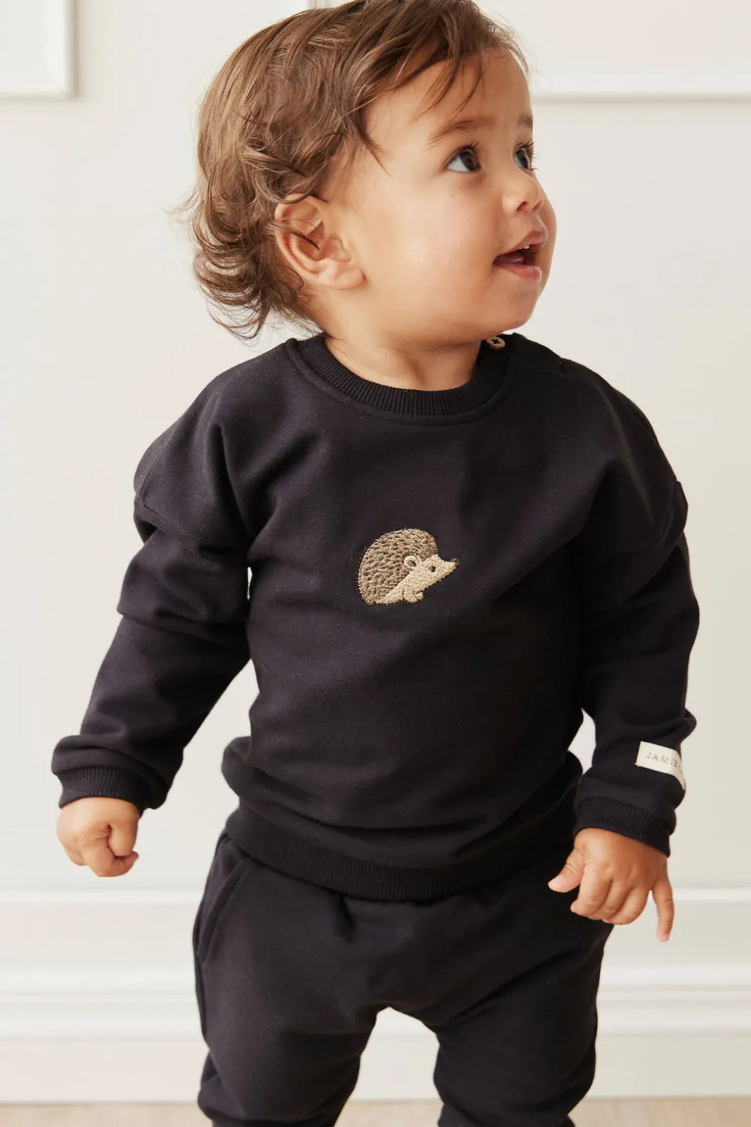 Organic Cotton Damien Sweatshirt - Constellation Hedgehog