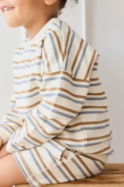 Organic Cotton Damien Sweatshirt - Hudson Stripe Tiger