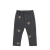 Organic Cotton Everyday Legging - Bobbie Bears Black Oyster