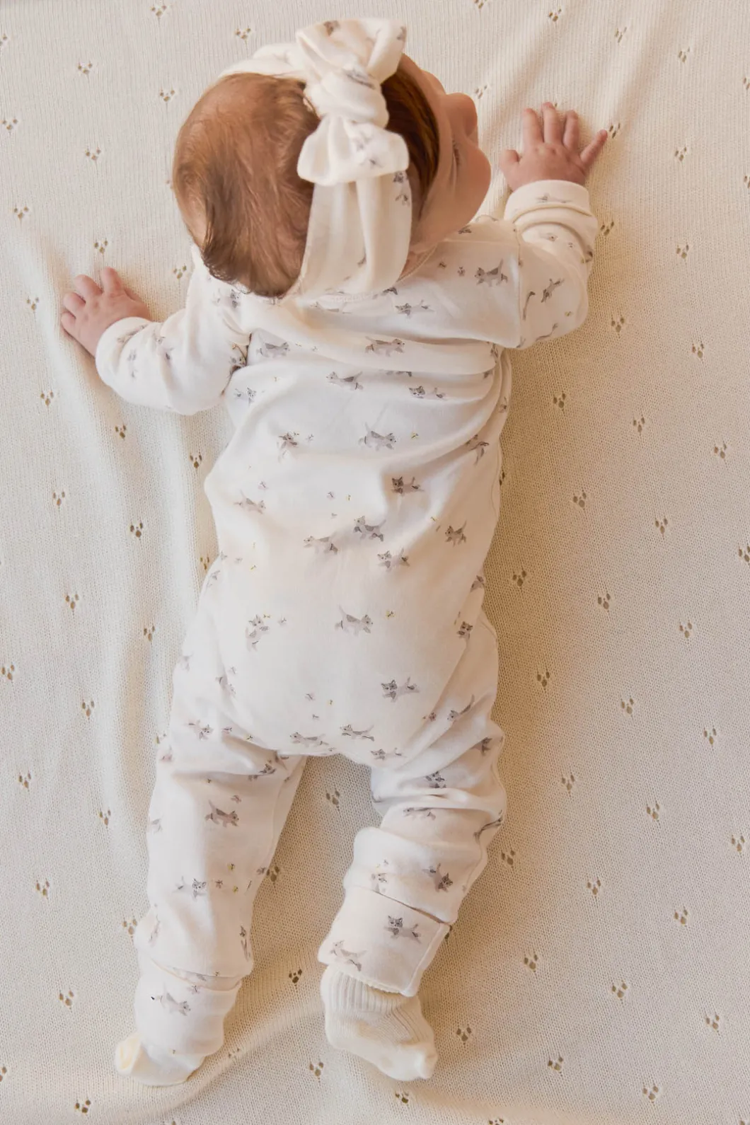 Organic Cotton Headband - Playful Kittens