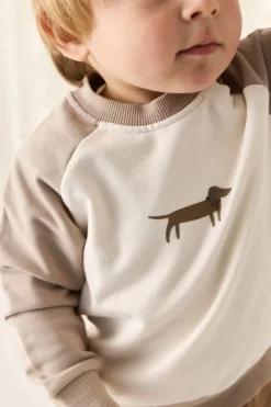 Organic Cotton Tao Sweatshirt - Vintage Taupe Cosy Basil