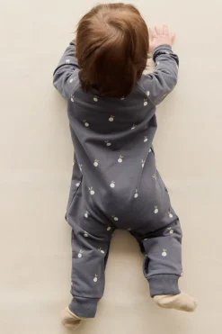 Organic Cotton Tao Sweatshirt Onepiece - Bobby Berries Shadow