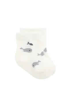 Whale Sock - Could Whales